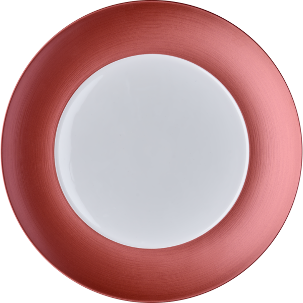 Тарелка для горячих блюд, красная, китайский фарфор, "Coral Island", диаметр 280 мм, BUFETT, 640106