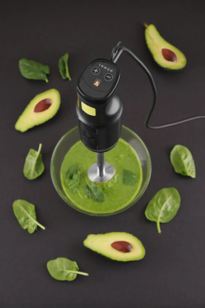 Блендер погружной HENDI Blend 222157, 6 скоростей